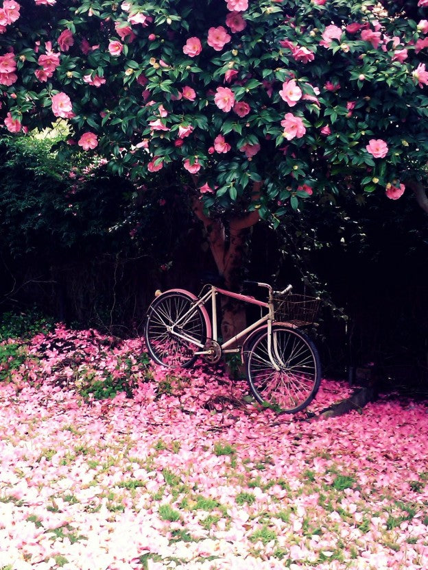 Happy Weekend!